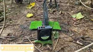 mẹt bẫy cút gương 2 mặt