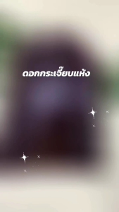 กระเจี๊ยบแดง