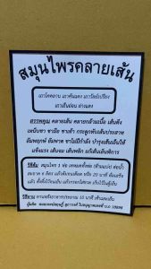 สมุนไพรคลายเส้น ใช้สำหรับต้มดื่ม สมุนไพรไทยโดยแพทย์แผนไทย