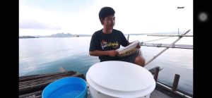 เหยื่อตกปลา ชุดรำระเบิดฟินฟร๊อกNo. 3 *ซื้อ1ชุดได้รำระเบิด3ถุง+มะขวิดสูตร2 2ถุง+มันระเบิด1ถุง ตามรูปเลยจ้า*