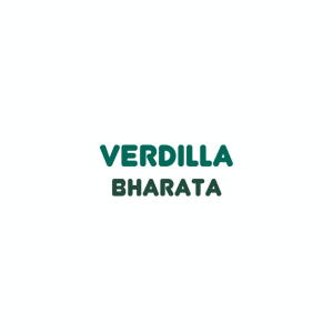 Obat Herbal TBC Infeksi Paru Paru Pneumonia Radang Paru Paru Asma | Verdilla Bharata Premium 100% Asli Original