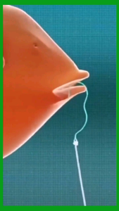 Kail Pancing Otomatis Flip Hook ISI 20 Kail Anti Mocel Boncos