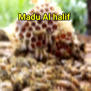 Madu Asli 100% Super MULTIFLORA Kemasan 1KG - Kualitas Terbaik