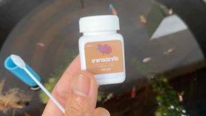 Ratjat อาหารปลากัด โปรตีนสูง เร่งโต เร่งสี (100 กรัม)