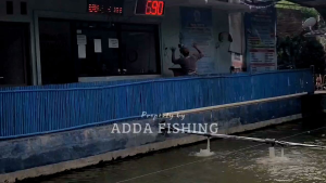 Athena - Essen Super Premium Ikan Mas Harian dan Lomba