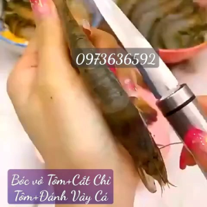 Dụng Cụ Bóc Vỏ Tôm INOX 2 Đầu_Cây Lấy Chỉ Tôm Kèm Dao Làm Lòng Gà Vịt Mổ Cả Cạo Vảy Đa Năng