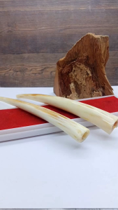 Pipa Padutan Sirip Marlino Berkualitas A115: Pemahaman & Penggunaan