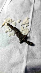 Hadiah ornamen fengsui luk