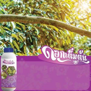 จ๊ะเอ๋ เปิดตาดอก สาหร่ายอะมิโน ตาดอก ดอกดก เพิ่มผลผลิต เปิดตาดอกขายดี