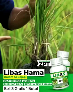Pupuk Libas Pembasmi Hama & Beli 3 Gratis 1