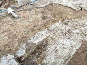 Cat Waterproof Pelapis Anti Rembes & Anti Bocor 25 kg