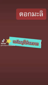 100ดอกมะลิเหรียญโปรยทานดอกมะลิคละสี🧡❤️