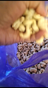 kacang mete mentah (500gr) wonogiri