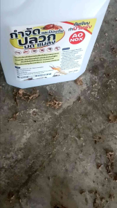 น้ำยากำจัดปลวกและป้องกันปลวกแมลง