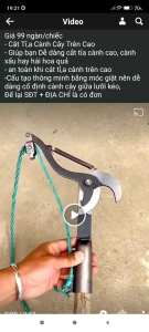 kéo cắt tỉa cành cây trên cao