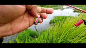 Soft Frog DD Lure 35 Cm: Umpan Casting Gabus Berkualitas