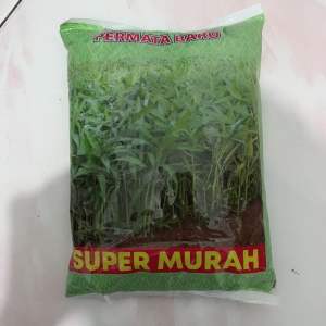 Benih Kangkung 1 KG SUPER MURAH Produk Permata Baru | Bibit Kangkung 1 kg