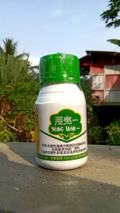 YONGWAN HERBISIDA - PENGENDALI GULMA PURNA TUMBUH KERING SAMPAI AKARNYA