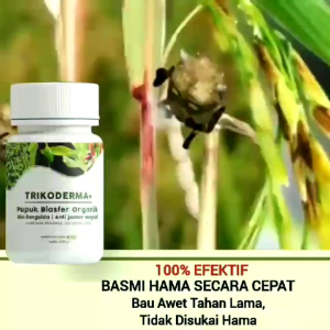 PUPUK TRIKODERMA BELI 3 GRATIS 1!!!Bio-Fungisida-Tricoderma Pupuk Biosfer Anti Jamur Anti Layu 250ml