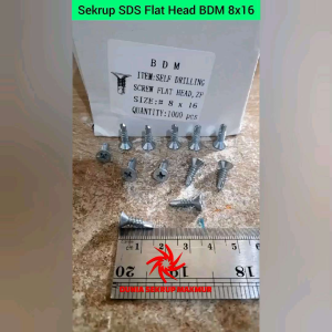 (100 pcs) Sekrup Roofing SDS FH 8x16 / Skrup Flat Head 1.5CM