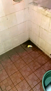 CLEER 1000ml Pembersih Kerak Kamar Mandi & Sarung Tangan Bonus