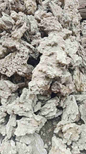 Desain Aquascape Alami: Batu Fosil & Kemasan Karungan Aquarium