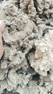 PROMO BATU AQUARIUM BATU AQUASCAPE BATU FOSIL PASIR /1kg