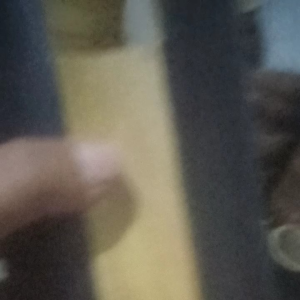 tempat sendok atau garpu bahan bambu hitam