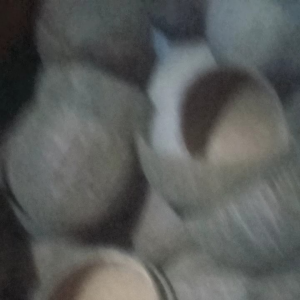 batok kelapa kecil 8 - 10 cm bahan kerajinan cangkir / congkak