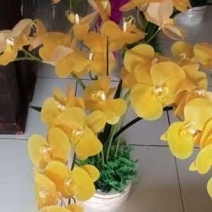 bunga hias Angrek latek jumbo isi -6