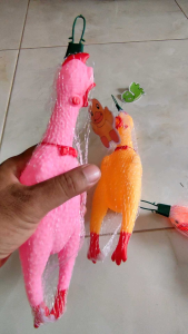 Mainan Ayam Berkokok Bunyi Ngoook