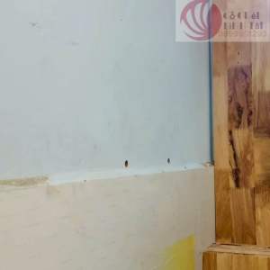 Kệ gỗ âm tường gỗ thịt không thấm nước dày 18mm rộng 30cm 25cm 20cm khoan lỗ + chốt âm