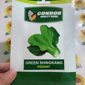 Green Shingkang Pechay Seeds (5grams) by Condor
