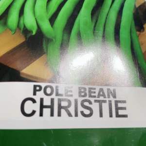 Christie Pole Bean Seeds (10g) by Condor