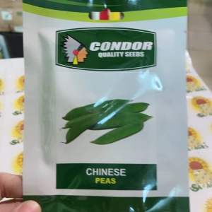 Chinese Peas Seeds (10g): A Guide to Growing Edible Peas