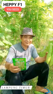 Benih Paria Pare Hijau HEPPY F1 isi 10 Gram Cap You Seed