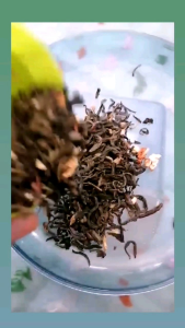 Kava کاوا ใบชาแห้ง ใบชามะลิ  ขนาด100กรัม