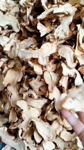 ข่า ข่าแห้ง  Galangal  dired / 干高良姜 ขนาด  500 กรัม