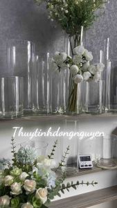 (D8cm x H20cm) Lọ hoa bình bông thuỷ tinh trụ tròn 8x20cm (đường kính 8cm x cao 20cm)