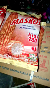 Benih Jagung BISI-234 Maskot 1kg
