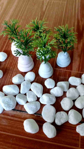 tanama hias aquarium rumput kecil.5pc