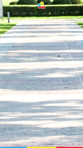 Sepeda Anak Roda Tiga Plastik Bebeho F101 Tricycle Pelastik F 101 PMB