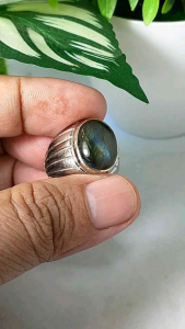 Cincin Batu Permata Labrador Real Picture