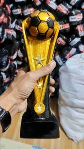 teropy piala bt. 30cm.resin