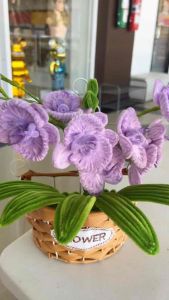 ตะกร้า ดอกกล้วยไม้กำมะหยี่สีม่วง