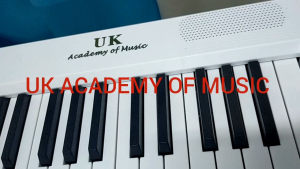 88 KEYS FOLDABLE TRAVELER PIANO RECHARGEABLE & BLUETOOTH ACTION WEIGHTED UK