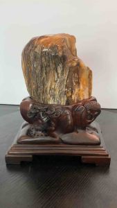 TSK Crystal SHY001 天然树化玉 黄里透白 色泽圆润 特制雕刻实木底座 Natural Tree Fossil Jade