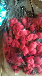 Sakura impor harga perlusin ( 12 tangkai ) * 1 kg muat 10 Lusin