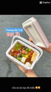 [HOT TREND] Thùng đá vuông mini màu pastel giữ nhiệt 1 Lít quai cầm chắc chắn