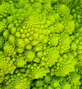 10 BUTIR BIJI/BENIH TANAMAN BROKOLI ROMANESCO